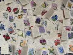 2025年最新】イギリスシガレットカードの人気アイテム - メルカリ