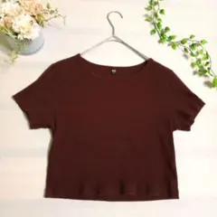 253【UNIQLO】ユニクロップドTシャツ　半袖　ブラウン（L）