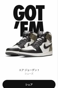 Nike Air Jordan 1 High OG 