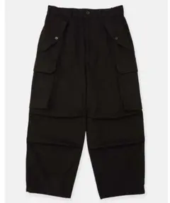 Field cargo pants (garment dye)ブラックsize1のサムネイル