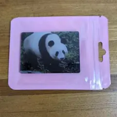 上野動物園 パンダ シャンシャン 非売品ステッカー 新品未使用 - メルカリ