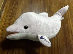 新江ノ島水族館 いるか くじ ぬいぐるみ