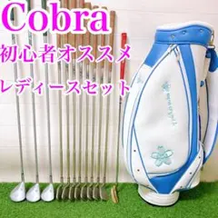 2025年最新】COBRA クラブセットの人気アイテム - メルカリ