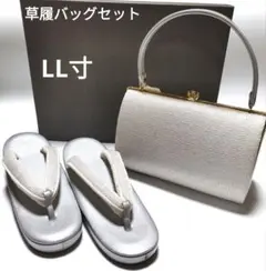 Item thumbnail for item 589de7c0-3f08-42ce-a3c4-4efe158c2fbc