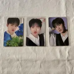 TREASURE ジュンギュ JUNKYU ナイトガーデン 猫耳