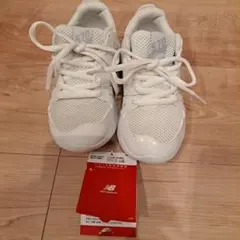 Item thumbnail for item 025e817b-16dd-4835-a6ee-01cebbec78f8