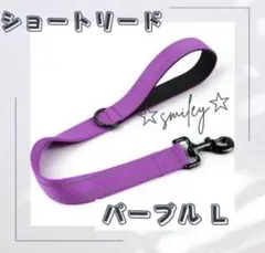 Item thumbnail for item 66263a3a-4966-44cf-b712-1d8db199884b