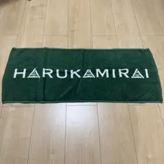 【レア品・美品】ハルカミライ HARUKAMIRAI タオル バンドタオル