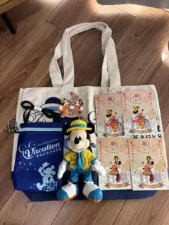 【非売品・限定セット】ディズニー40周年 バケーションパッケージ 特典5点セット