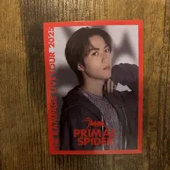 TheRAMPAGE 藤原樹 トレカ 即購入⭕️