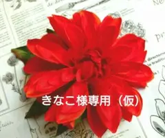 きなこ様専用（仮）リピーター様割　フローレス　ダリア　ハイドレンジア