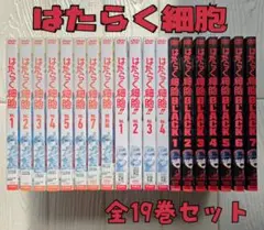 ケース付 はたらく細胞　DVD 1期+2期＋特別編+BLACK 全19巻セット ケース付 はたらく細胞 DVD 1期+2期＋特別編+BLACK 全19巻セット