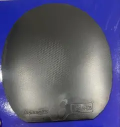 ディグニクス09c 厚