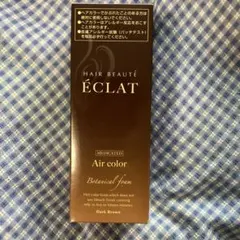 ÉCLAT エアカラー ダークブラウン 80g 1個 - メルカリ