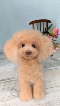 らっきーさま専用 羊毛フェルト「リアルで可愛いワンちゃん」+額飾り トイプー らっきーさま専用 羊毛フェルト「リアルで可愛いワンちゃん」+額飾り