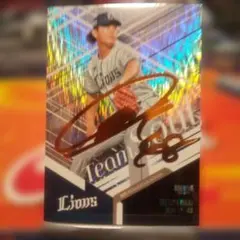 大泉武蔵様 リクエスト 2点 まとめ商品