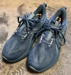 asics NOVABLAST 5 WIDE 27.5cm