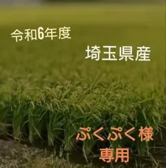 ぷくぷく様専用