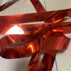 バウンディ ミュージシャン