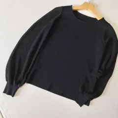 andemiu 袖シアーラメ　　リブニット アンデミュウ