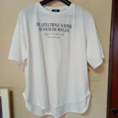 Item thumbnail for item b55480c5-ad17-47ca-b6f6-76672a716186