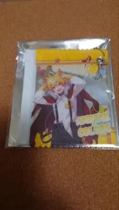 AMPTAK×COLORS ランダムフォトマルチケース あっきぃ