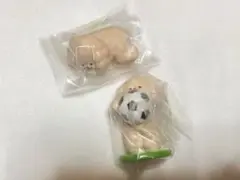 tombonia トムボニア　デザインA .Dフィギュアコレクション　ガチャ