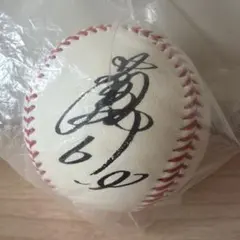 元阪神タイガース 糸井嘉男選手直筆サインボール - メルカリ