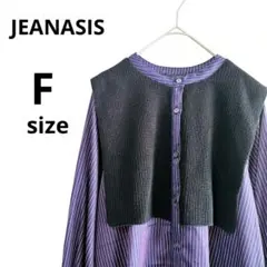 【JEANASIS】ジーナシス紫と黒のストライプ 長袖シャツワンピースチュニック