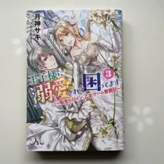 王子様に溺愛されて困ってます 3 ～転生ヒロイン、乙女ゲーム奮闘記～