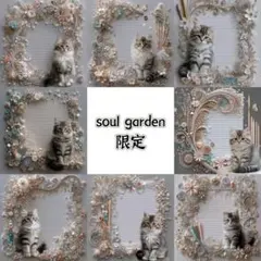 soul garden 251209i