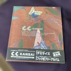 ナカバヤシ　KANSAIデザイン　デミファイル　台紙（黒）のサムネイル