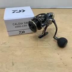 ノンシュガー様専用 DAIWA CALDIA SW 14000-H - メルカリ