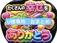U様専用　おまとめ　速達