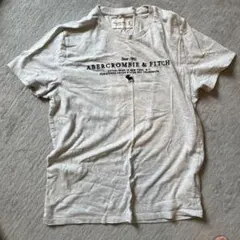 Abercrombie & Fitch Tシャツ グレー Mサイズのサムネイル