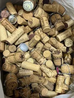 Item thumbnail for item 163abb27-7836-4359-bcad-7cc22cf92d56