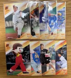 bbm 2025 fusion 始球式カード　9枚セット