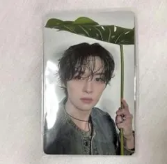 StrayKids リノ 11日 dominate 会場限定 トレカ