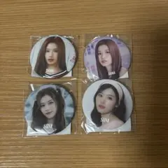 SANA 缶バッジ 4個