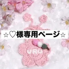 ⭐︎♡様専用ページ⭐︎