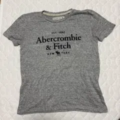 Abercrombie & Fitch グレー Tシャツ XS