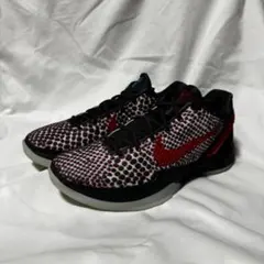 NIKE KOBE 6 PROTRO 27.5cm "3D" (2026)のサムネイル