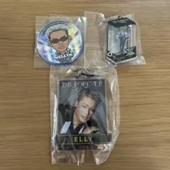 ELLY 15周年記念 キーホルダー＆缶バッジセット
