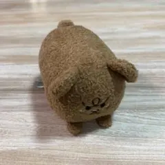 悲熊　コロッコロ マスコット