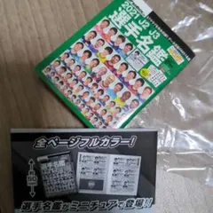 【⚠豆本です。ガチャガチャ】選手名鑑　2021 J2 J3