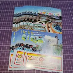 よみうりランドプールWAI平日ご招待券2枚 - メルカリ