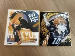 ハイキュー!! 日向翔陽 横断幕 箔押しミニ色紙コレクション