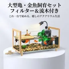 亀金魚飼育セット水槽15点豪華セット超白ガラスフィルター浮き島掃除簡単インテリアのサムネイル