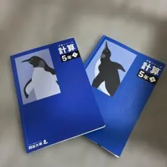 予習シリーズ　計算　5年　上下セット
