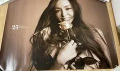 Namie Amuro 20th Anniversary 写真集 - メルカリ